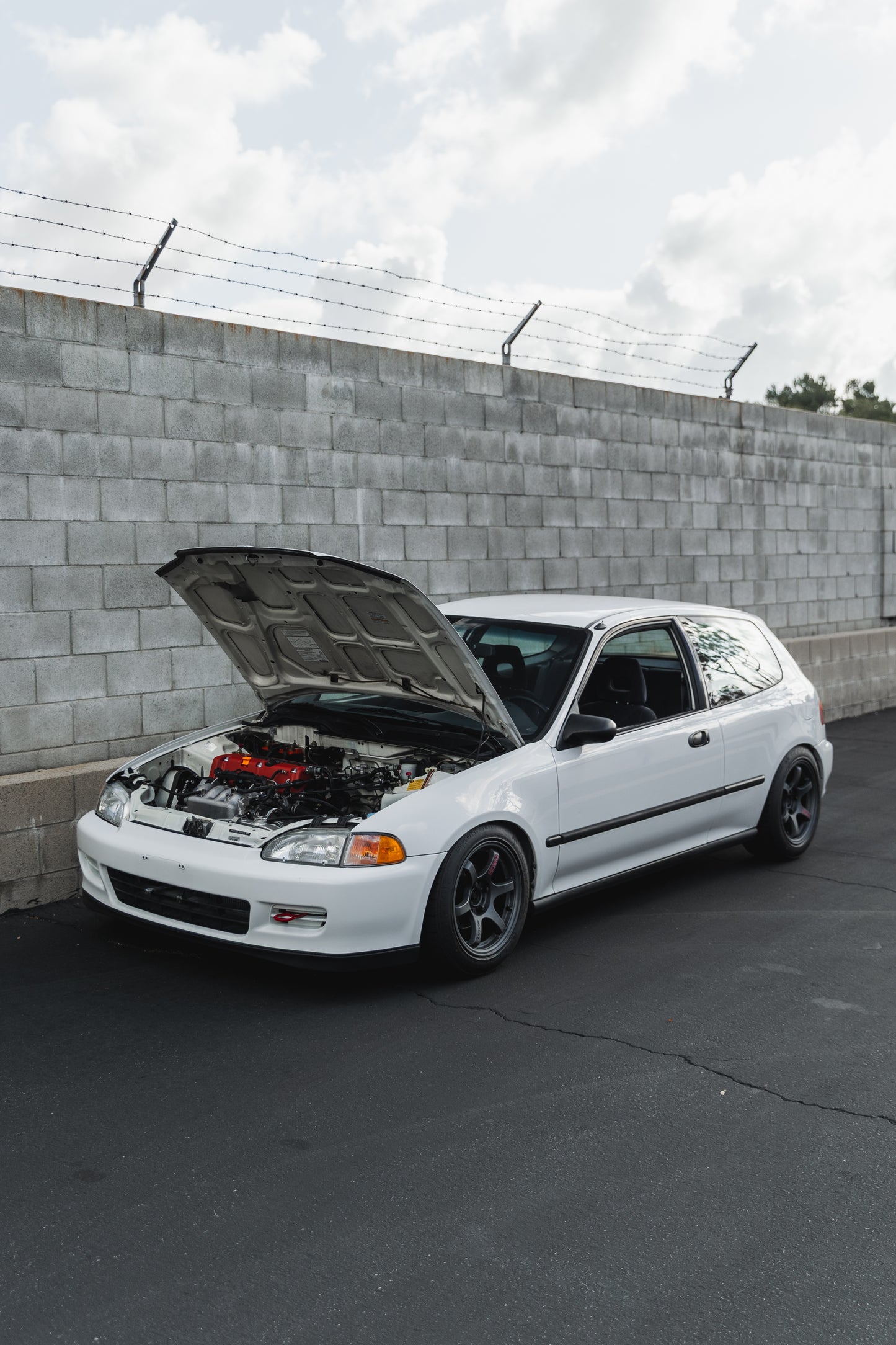 K Swapped EG Digital Download